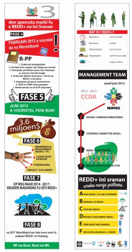 REDD+ organisatie.JPG