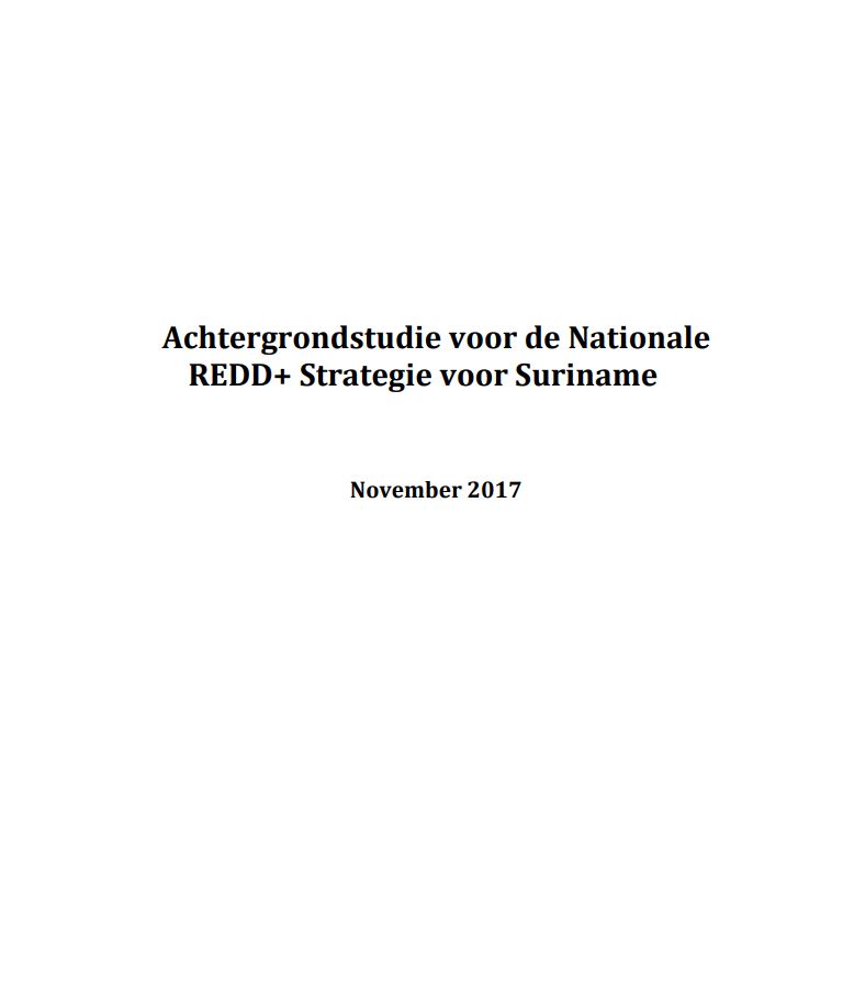 Cover Photo BS-NS_Dutch.JPG